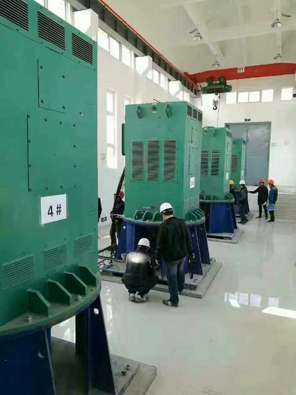 金阳某污水处理厂使用我厂的立式高压电机安装现场