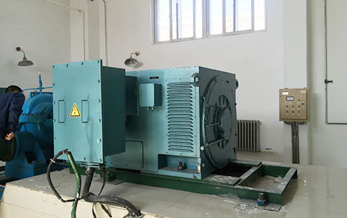 金阳某水电站工程主水泵使用我公司高压电机