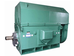 金阳YKK系列高压电机一年质保